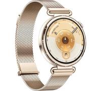 Huawei Watch GT 6 41mm KSU-B19 Gold / Milanese Strap