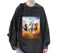 HuazomeeHZM Men's Women's Horse Riding 3D Printed Sweatshirts Jumper Novelty Horse Lover Pullover T-Shirt Long Sleeve Sweater Tops