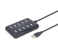 HUB 10 USB Ports Black (UHB-U2P10P-01)