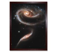 Hubble Space Telescope Image 21st Anniversary A Rose Made Of Interacting Galaxies Arp 273 Cosmic Flower Formation UGC 1810 And UGC 1813 Pair Art Print Artery8 Brown W12 inch x H16 inch