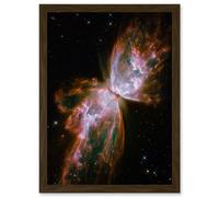 Hubble Space Telescope Image Celestial Butterfly Emerges From Stellar Demise In Planetary Nebula NGC 6302 Red Glow Dying Star In Milky Way Galaxy Art Artery8 Brown W12 inch x H16 inch