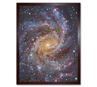 Hubble Space Telescope Image NGC 6946 Supernova Fireworks Galaxy Subaru And Red Eclipse Star Cluster Hodge's Complex Art Print Framed Poster Wall Deco Artery8 Brown W12 inch x H16 inch