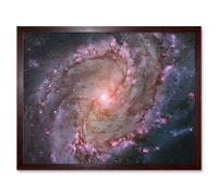 Hubble Space Telescope Image Spiral Galaxy M83 Red Blue Purple Star Formation Southern Pinwheel Supernova Remnants And Star Clusters Art Print Framed Artery8 Brown A4