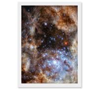 Hubble Space Telescope Image Star Cluster R136 Spectroscopic Study Of The Central Region Of Tarantula Nebula In The Large Magellanic Cloud Art Print F Artery8 White W12 inch x H16 inch