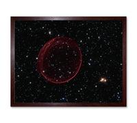 Hubble Space Telescope Image Supernova Bubble SNR 0509 Holiday Ornament Red Sphere Of Gas Caused By A Stellar Explosion In The Large Magellanic Cloud Artery8 Brown W12 inch x H16 inch