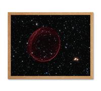 Hubble Space Telescope Image Supernova Bubble SNR 0509 Holiday Ornament Red Sphere Of Gas Caused By A Stellar Explosion In The Large Magellanic Cloud Artery8 Beige W12 inch x H16 inch