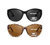 Hubeye 2 Pack Bifocal Reading Sunglasses for Women Oversize Fashion Classic Sun Readers UV400 Protection Outdoor Glasses 1.00