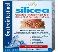 Hubner Silicea Gastrointestinal Gel 200ml