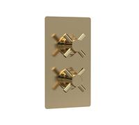 Hudson Reed Tec Concealed Thermostatic Shower Valve with Diverter - Brushed Brass, Twin Outlet