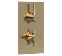 Hudson Reed Tec Twin Concealed Thermostatic Shower Valve and Diverter with 2 Outlets | Brushed Brass | Metal | 120mm x 215mm x 137mm