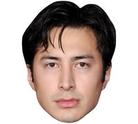 Hudson Williams (Serious) Celebrity Mask, Flat Card Face, Fancy Dress Mask