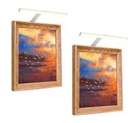 Hudyogy Picture Lights with Timer, Remote Control Light Rotatable LED Tube, Dimmable Picture Frame Lighting for Wall, Dartboard Light, Plug in Display Lights for Art Work Gallery Poster 2 Pack