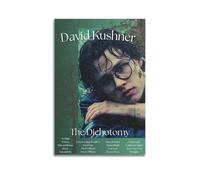 HUEAEHAHE David Kushner Album The Dichotomy Poster Room Decorative Canvas Posters Aesthetic Poster Print Wall Art Decor Posters 12x18inch(30x45cm) Unframe-style