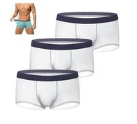 Hueborne Men's Ice Silk Boxer Briefs - Ultra-Thin Breathable No Trace Underwear, Quick Dry Stretch Boxers For Summer(3PC-White,XXL)