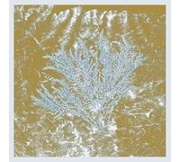 Huerco S. - For Those of You Who Have Never (2lp) [VINYL]