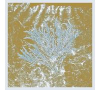 Huerco S. For Those of You Who Have Never (Vinyl) (US IMPORT)