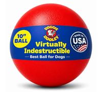 Hueter Toledo Virtually Indestructible Ball 10-inch Red