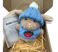Hug Cute Easter Adorable Knitted Bunny With Inspirational Card Desk Decor Handmade Emotional Support Positive For Teachers Friends Family Kumquat Plush (C, One Size)