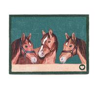 Hug Rug 65x85cm Stable Horses Mat