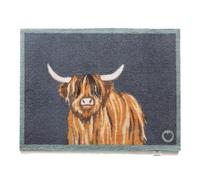 HUG RUG Washable Dirt Trapper Door Mat Kitchen Hallway Doorway, Made in the UK, Highland 1 65X85