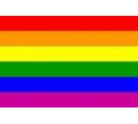 HUGE 8ft x 5ft Gay Pride Rainbow Material Flag by Flag Co