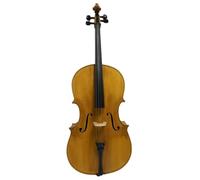 Huge and Powerful Sound For Professional Song Tunes 5-string Cello 4/4 Model Instrument