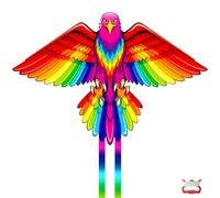 Huge Eagle Rainbow Kite for Children and Adults, Kites for Kids Ages 4-8 Easy to Fly, Perfect for Beginners, Beach Kites for Outdoor Activities Games Family Trip