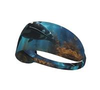 Huge Killer Whales Outdoor Sports Sweat-Absorbing Headband, Fitness Sports Yoga Cycling Headband, Sports Elastic Headband,