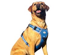 HugglePets Activity & Travel Comfort Dog Harness | Blue Large 75-100cm | Adjustable Reflective | Breathable Mesh | Padded Grab Handle | Front & Rear D-Ring | Great