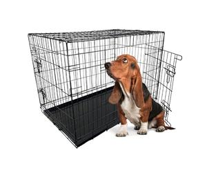HugglePets Black Metal Dog Puppy Cage Foldable Medium 76cm Dual Door with Locks, Car Home and Travel Crate