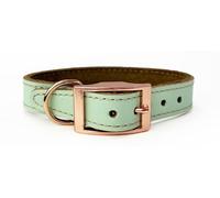 HugglePets Luxury Padded Leather Dog Collar - - Size: S