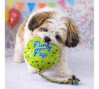 HugglePets Party Pup Balloon Dog Toy with Colourful Rope | Lime Green | Interactive Squeaky Plush Stimulating Puppy Play Toy | Special Milestones & Birthday Party Celebrations | 38cm