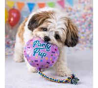 HugglePets Party Pup Balloon Dog Toy with Colourful Rope | Purple | Interactive Squeaky Plush Stimulating Puppy Play Toy | Special Milestones & Birthday Party Celebrations | 38cm