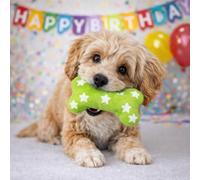 HugglePets Party Pup Squeaky Bone Dog Toy | Lime Green with White Star Design | Interactive Plush Stimulating Puppy Fun Play Squeak Toy | Special Milestones & Birthday Party Celebrations | 25cm