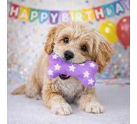 HugglePets Party Pup Squeaky Bone Dog Toy | Purple with White Star Design | Interactive Plush Stimulating Puppy Fun Play Squeak Toy | Special Milestones & Birthday Party Celebrations | 25cm