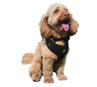 HugglePets Skye & Murphy Teddy Bear, Soft Dog Harness | Noir (Classic Black) | Adjustable, Comfortable Fit with Secure Straps | Black Dog Harness | Small (28-41cm)