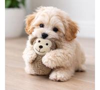 HugglePets Tiny Tails Ball Belly Monkey Max Dog Toy | for Small Dogs and Puppies | Latte 12cm | Soft Teddy-Texture Tennis Ball Comforter | Gentle on Little Teeth | Cute Comfort Cuddly Plush Fun Play