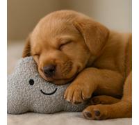 HugglePets Tiny Tails Clive Cloud Dog Toy | for Small Dogs and Puppies | Grey 18cm | Soft Teddy-Texture Smiley Face Design Squeaking Comforter | Gentle on Little Teeth | Cute Comfort Plush Squeaky Fun