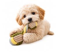 HugglePets Tiny Tails Rope Dumbbell Teether Dog Toy | for Small Dogs and Puppies | 22cm Multi-Colour Interactive Teething Chew, Tug of War & Fetch Play | Gentle on Little Teeth for Safe Dental Care