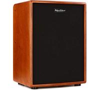 Hughes & Kettner ERA 2 400-Watt Acoustic Combo Amp - Wood
