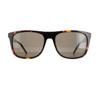 Hugo by Hugo Boss HG 1194/S Sunglasses Havana / Grey Brown