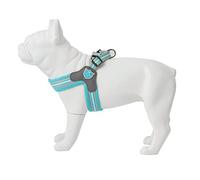 HUGO & HUDSON Easy Walk Dog Harness Adjustable No-Pull Step-in Training Vest, Aqua, Size 8