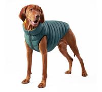 HUGO & HUDSON x HACKETT Reversible Dog Puffer Jacket Warm Winter Coat, Forest Green & Gold M45