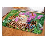 HUGS IDEA Funny Cat Printed Doormat Decorative Soft Area Rugs Inside Outside Floor Mat Carpet
