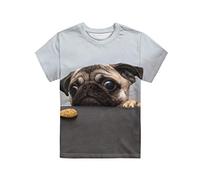 HUGS IDEA Pug Dog Funny Kids Teen Casual T-Shirts Pullovers Tops Regular Fit Short Sleeve T-Shirts (9-10 Years Old)