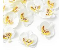 HUIANER 20PCS Artificial Butterfly Orchid Flower Heads, Fake Silk Phalaenopsis Heads for Wedding Floral Bouquet Decor DIY Craft Making Bridal Shower Photography Props (White)