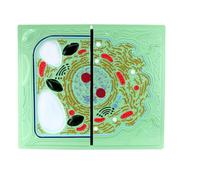 HUIBBGO Animal and Plant Cell Comparison Models Science Plant Animal Cell Anatomy Model Medical Anatomical Animal and Plant Cells Model Comparative for Middle School Biological Anatomy Teaching