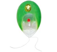 HUIBBGO Chlamydomonas Model Plant Model Chlamydomonas Model Plant Anatomical Anatomy Model Single Cell Green Plant Model for Junior High School Study Training