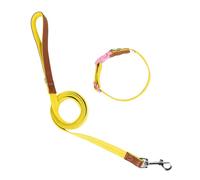 HUIFACAI Dog Collar Leash Slip Lead Walking Leash Collar Rope Long Pet Strong Training Walking Swimming Hiking Lead