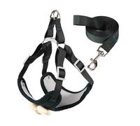 HUIFACAI Dog Leash Slip Lead Vest with Lovely Flower Vest Rope 4ft Long Pet Strong Training Walking Swimming Hiking Lead